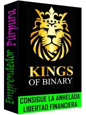 kingsofbinary
