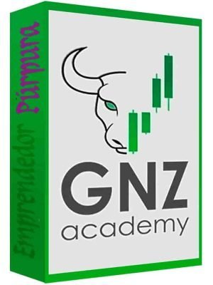 curso-de-trading-gnz-academy