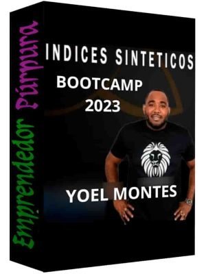 curso-indices-sinteticos-yoel-montes
