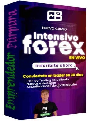 curso-intensivo-de-trading-en-forex-estefano-trading
