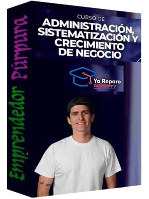 curso-administracion-sistematizacion-y-crecimiento-de-negocio