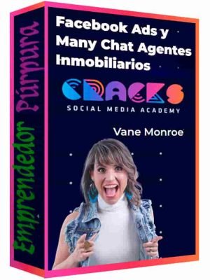 curso-facebook-ads-y-manychat-agentes-inmobiliarios-vane-monroe